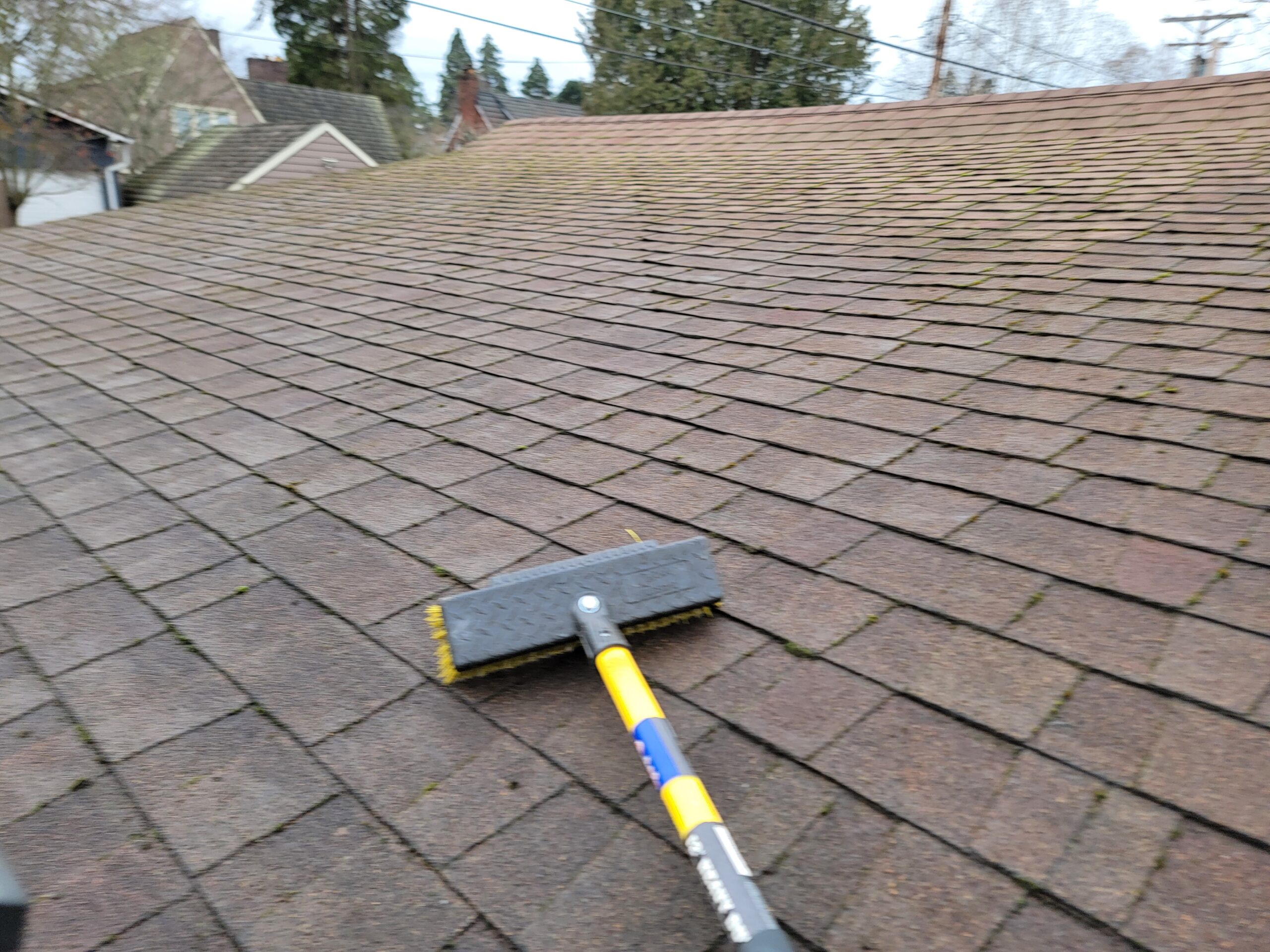 best roof cleaning service