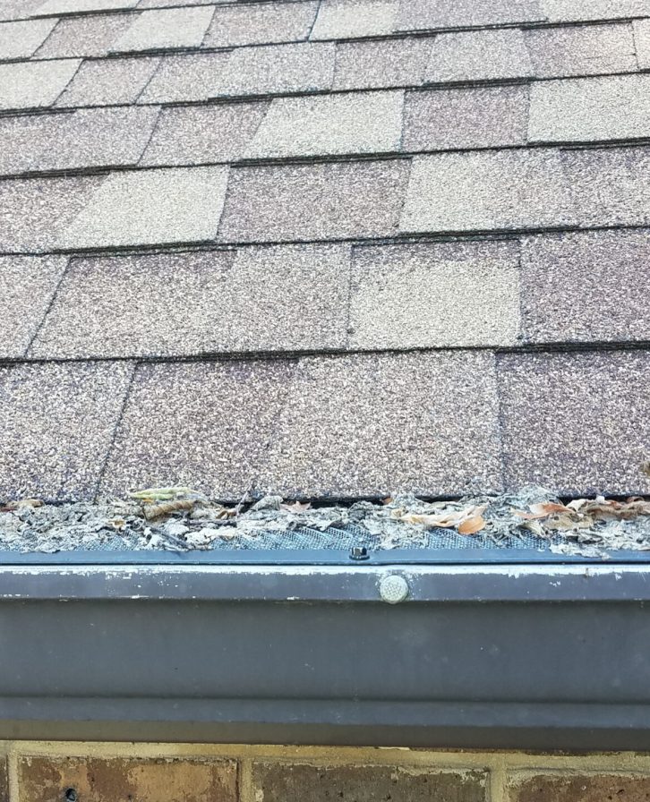 Gutters,On,Shingle,Roof,Without,Gutter,Guards,Clogged,With,Leaves